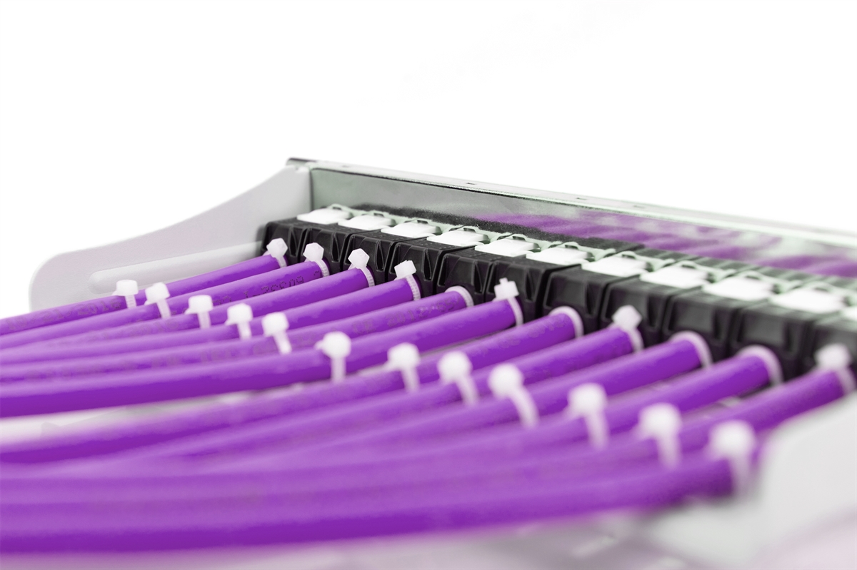 Cavo di installazione a doppino intrecciato U-UTP CAT 6, bobina da 500 mt. Colore: viola
