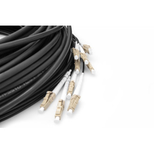 Cavo breakout universale in fibra ottica dotato di terminali, Multimode OM4, 12 fibre, LC/UPC - LC/UPC   30mt. colore nero