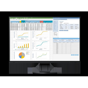 EIZO FlexScan EV2457 monitor 24,1" - NERO