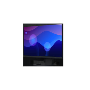 EIZO FlexScan EV2480 monitor 24" - NERO