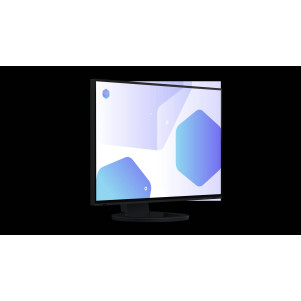 EIZO FlexScan EV2485 monitor 24" - NERO