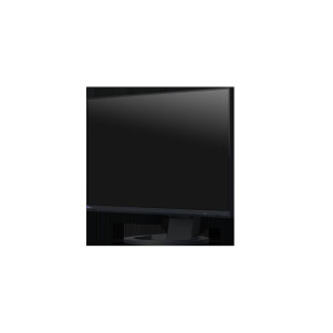 MONITOR FLEXSCAN 24'' EV2490 - NERO