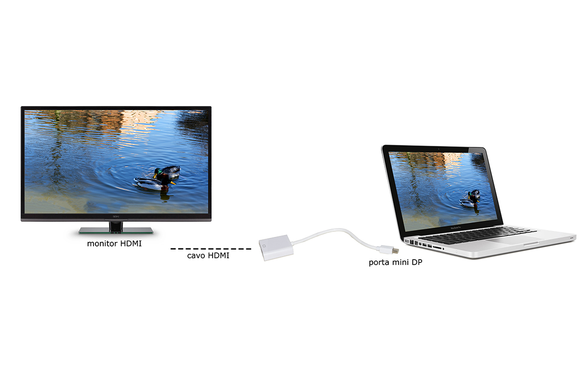 ADATTATORE MINI DISPLAYPORT MASCHIO - HDMI® FEMMINA