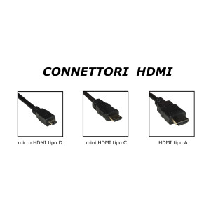 CAVO MICRO HDMI D MASCHIO - DVI 24+1 MASCHIO MT 2 DELOCK
