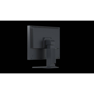 EIZO FlexScan Slim-Monitor S2133-BK monitor 21 - NERO